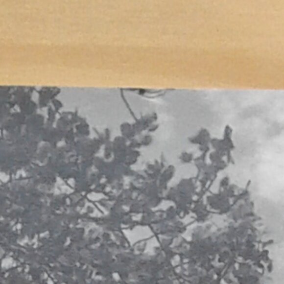 Collection of Vintage Photo Prints - Picture 5 of 6